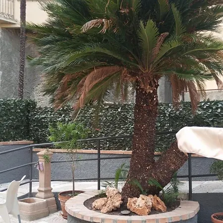 فندق B E B Alexia 3*