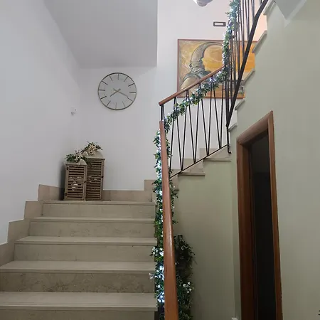 B E B Alexia كاتانزارو