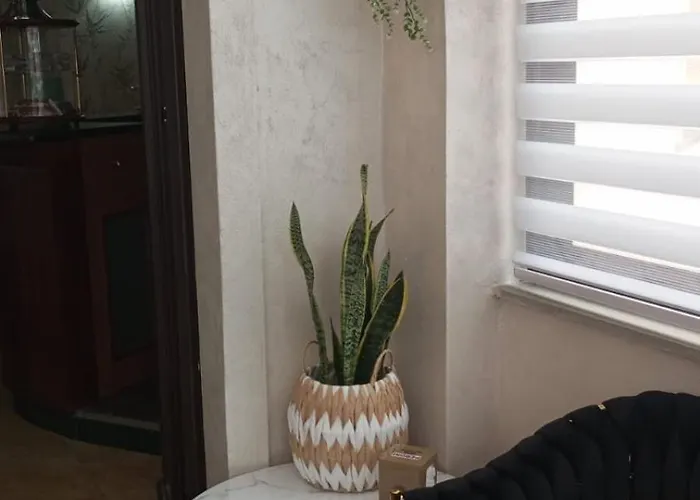 Hotel B E B Alexia 3*